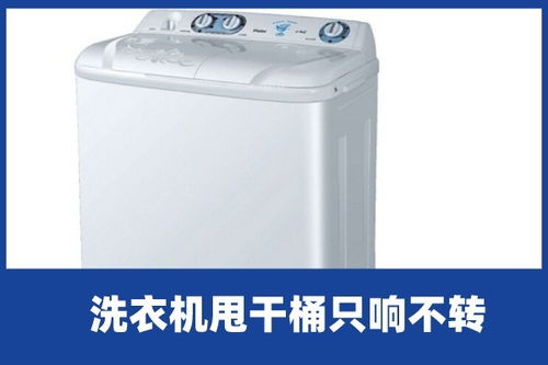 啄木鸟家庭维修 洗衣机甩干桶只响不转