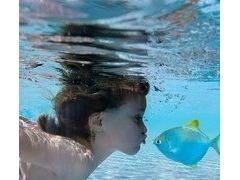 长春夏普洗衣机维修 尽忠职守的专业服务